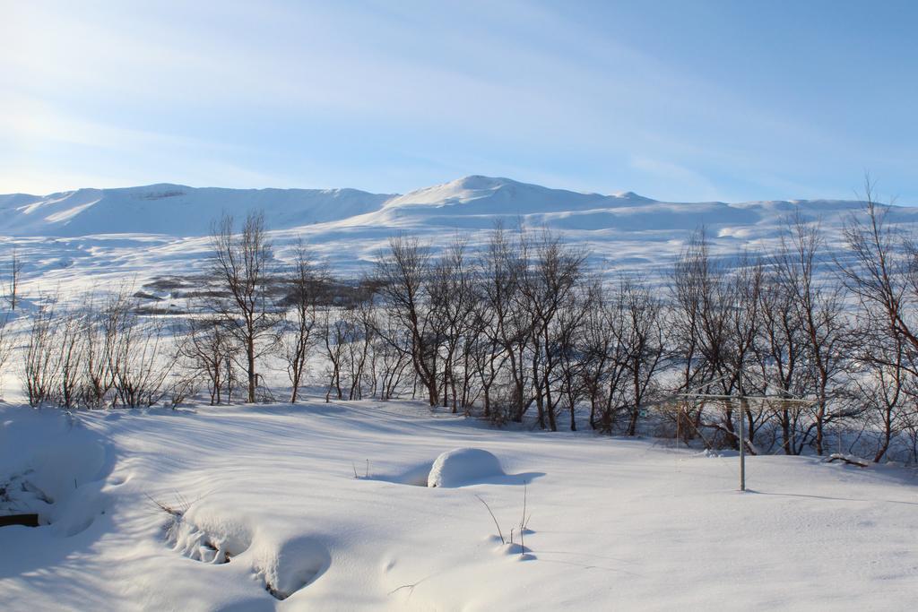 Lonsa Guesthouse Акурейри Екстериор снимка