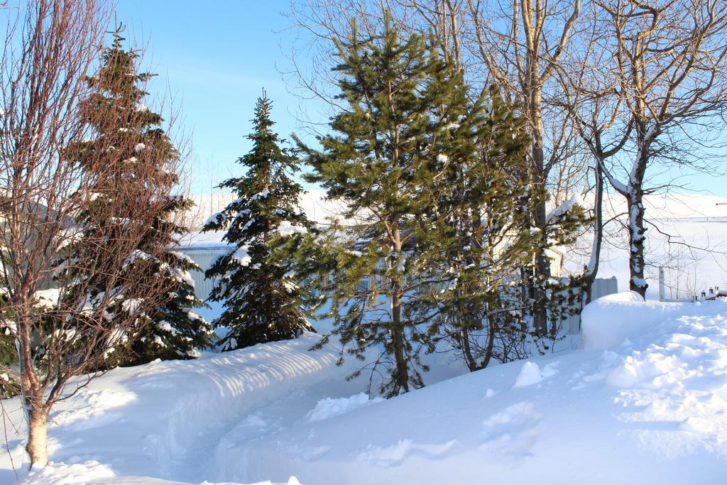 Lonsa Guesthouse Акурейри Екстериор снимка